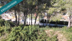 Foto8
