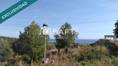 Foto7