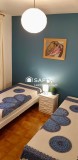 Foto19