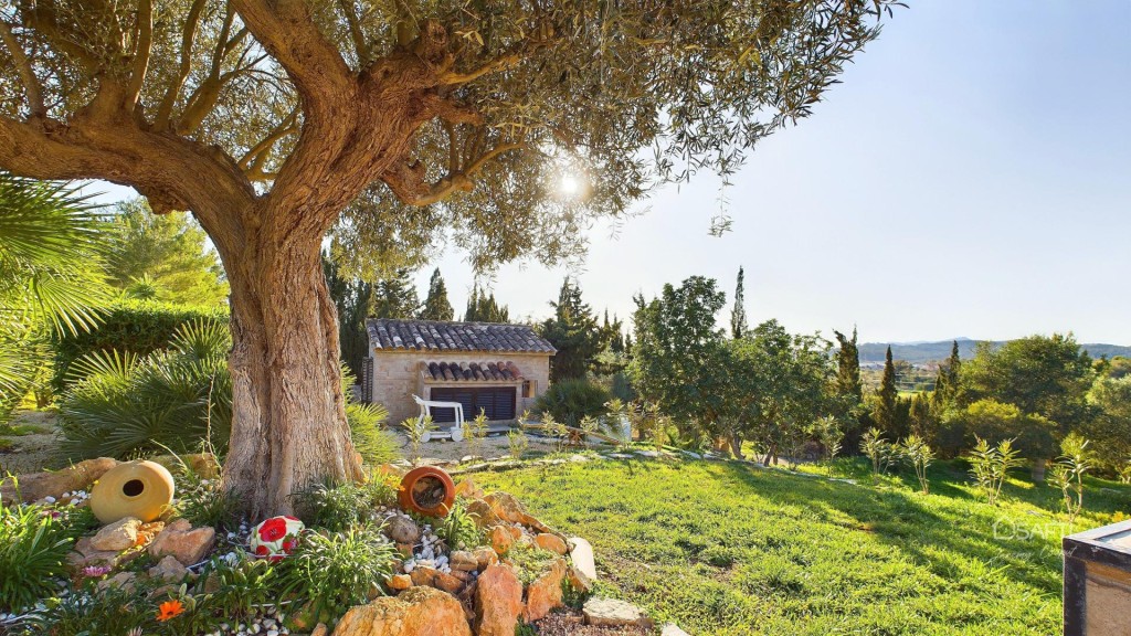 Impresionante finca rústica de lujo en Calvià. - foto 33