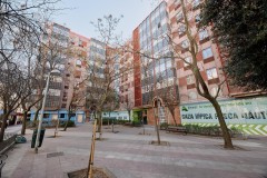 Foto42
