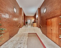 Foto41
