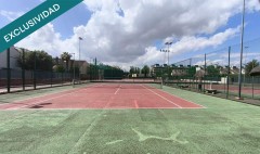 Foto20