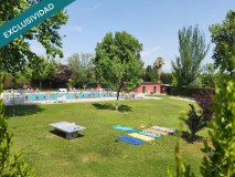 Foto19