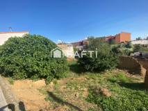 Foto5