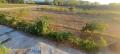 Foto9