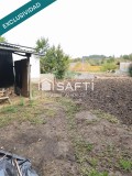 Foto5