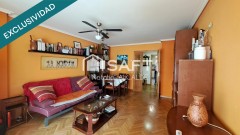 Foto7