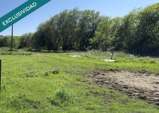 Foto16