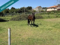 Foto5