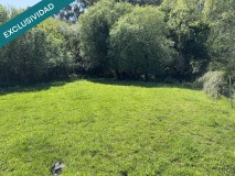 Foto11