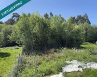 Foto9