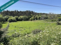 Foto4