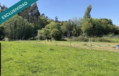 Foto7