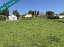 Foto2