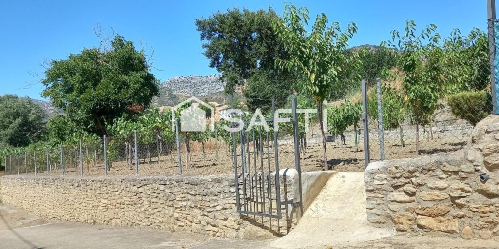 ¡Oportunidad única! oferta finca rústica con vivienda y pisc - foto 18