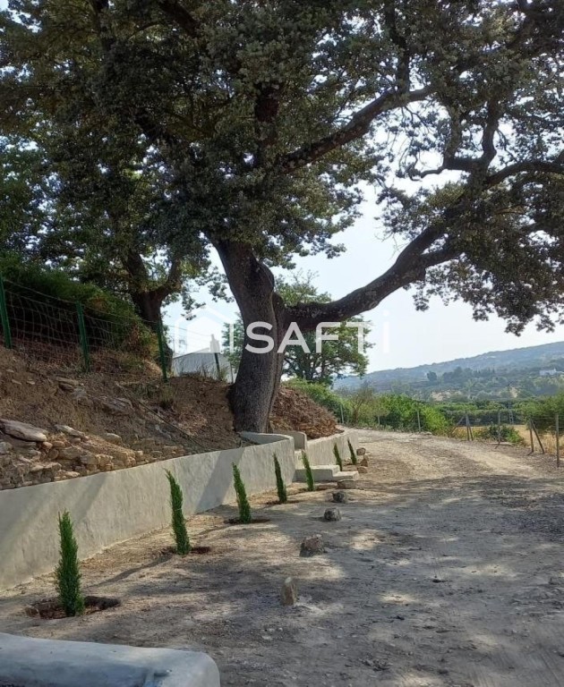 ¡Oportunidad única! oferta finca rústica con vivienda y pisc - foto 11