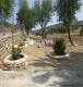 Foto9