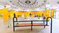Foto4