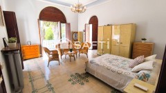 Foto8
