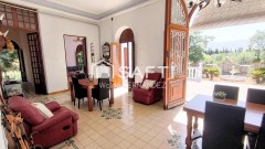 Foto4