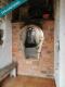 Foto9