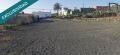 Foto9