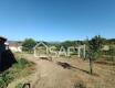 Foto41