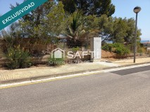 Foto4
