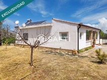 Foto5