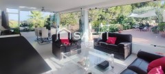 Foto41