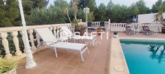 Foto46