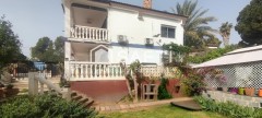 Foto5