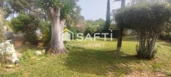 Foto49