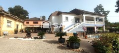 Foto43