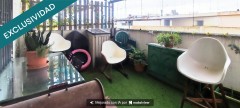 Foto51