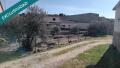 Foto4