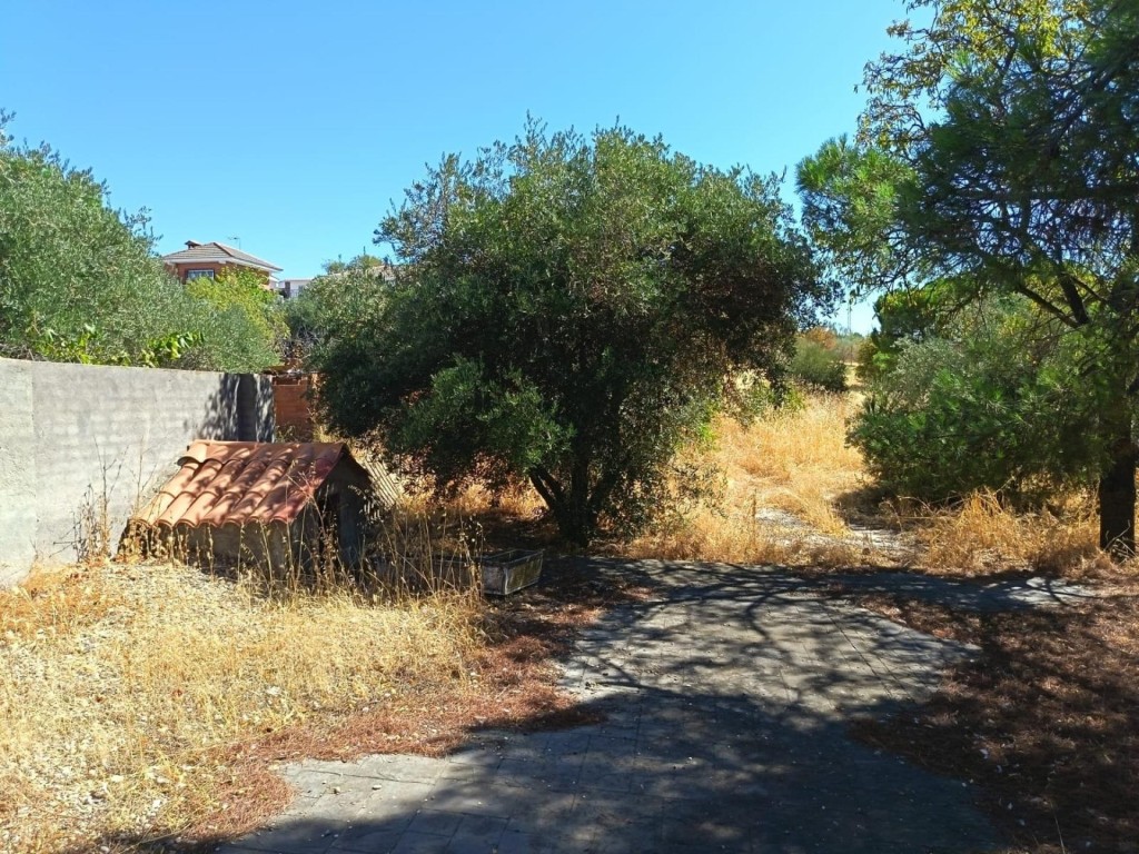 Oportunidad en Albarreal de Tajo – ¡Sin comisión al comprado - foto 23