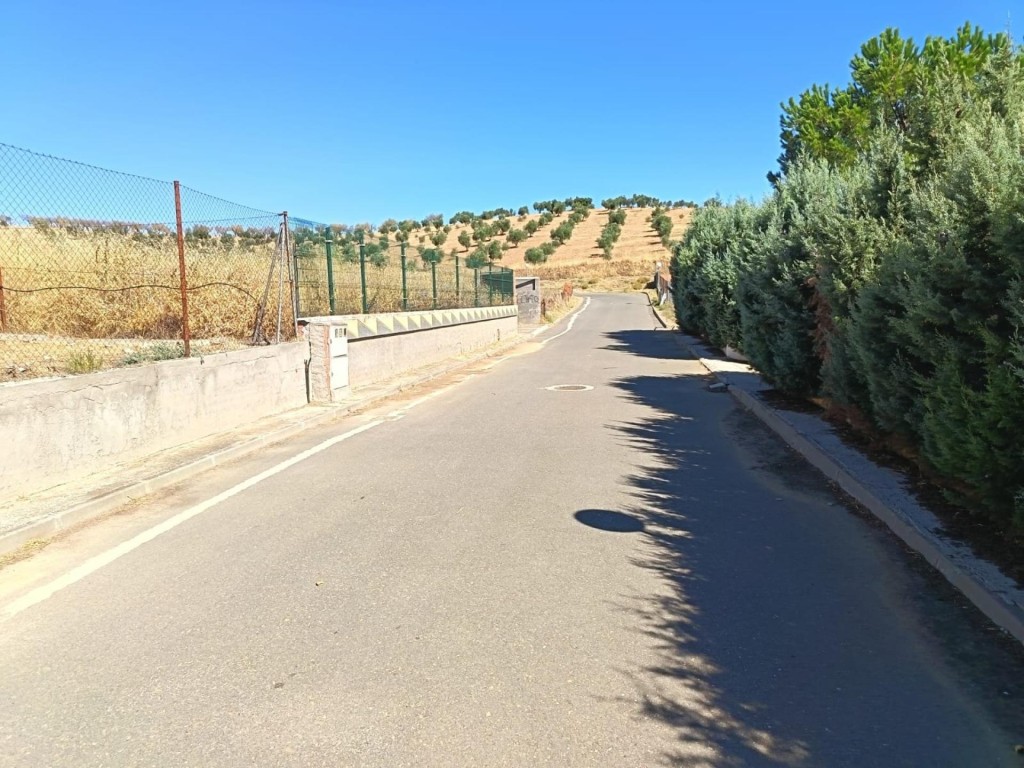 Oportunidad en Albarreal de Tajo – ¡Sin comisión al comprado - foto 26