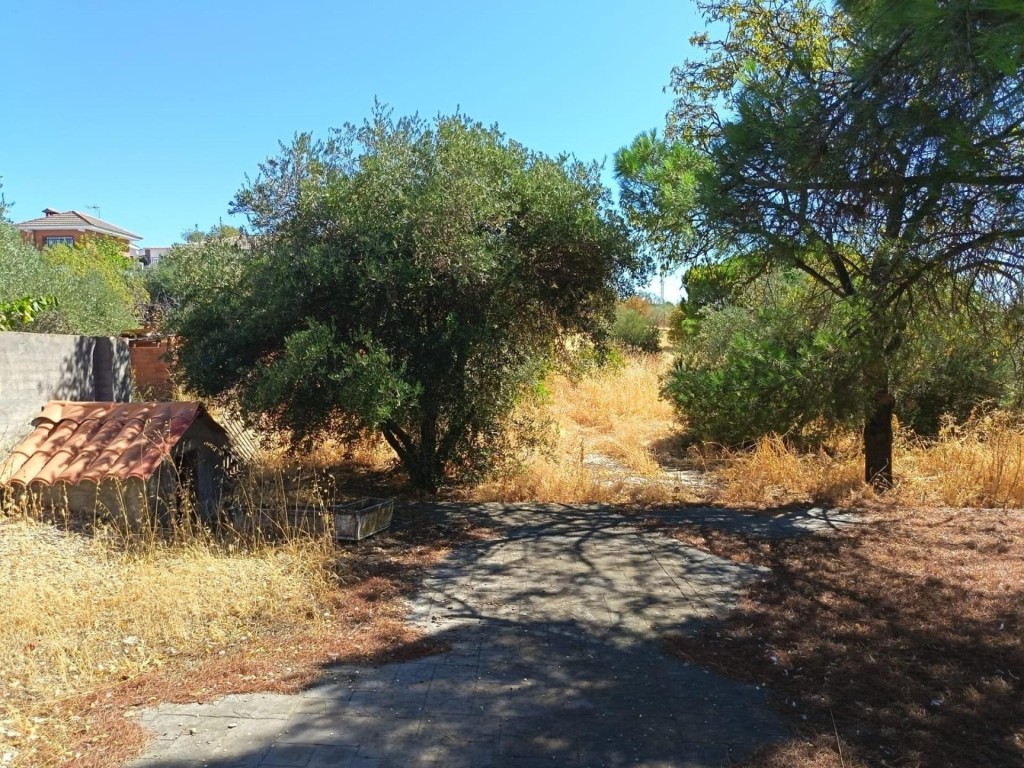 Oportunidad en Albarreal de Tajo – ¡Sin comisión al comprado - foto 8