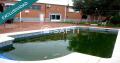 Foto19