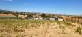 Foto37