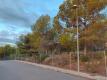 Foto6