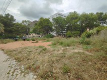 Foto7