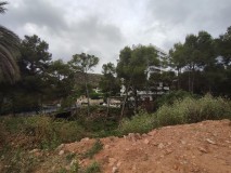 Foto5