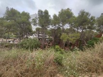 Foto6