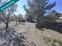 Foto4