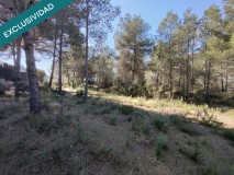 Foto9