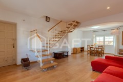 Foto3