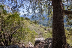 Foto3